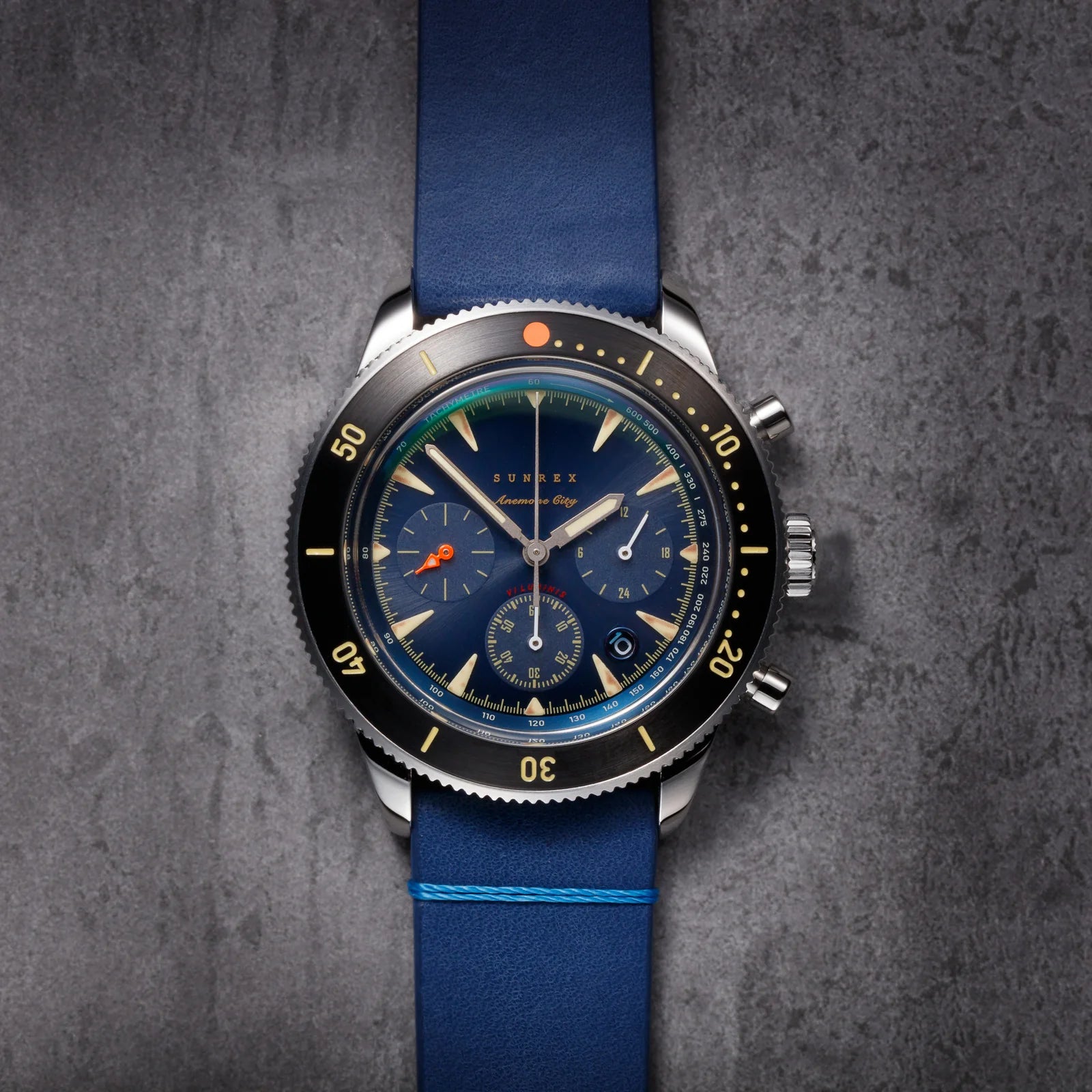 Sunrex ANEMONE CITY – Stitches and Buckles